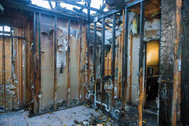 Professional Odor Removal technician working in Lackland AFB, TX